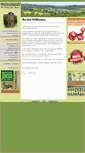 Mobile Screenshot of hochsitzprofi.de